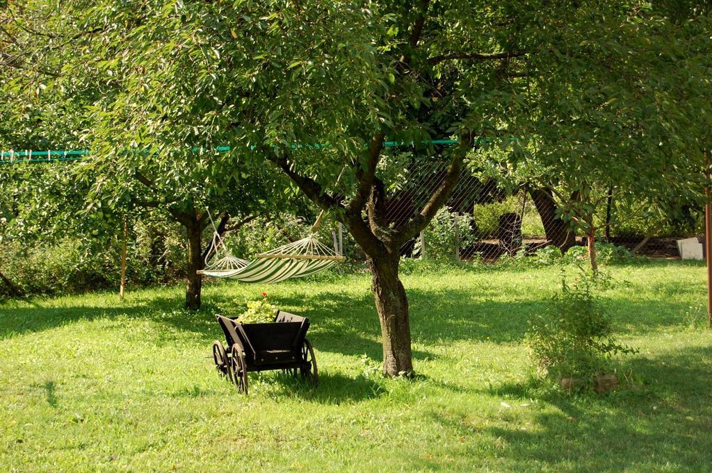 Villa Kozi Farma U Nydrlu Stara Cervena Voda Exterior foto