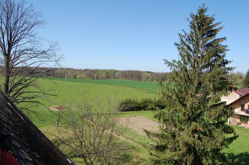 Villa Kozi Farma U Nydrlu Stara Cervena Voda Exterior foto